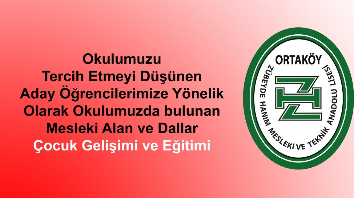 Çocuk Gelişimi ve Eğitimi Alanımızın Tanıtım Haberi